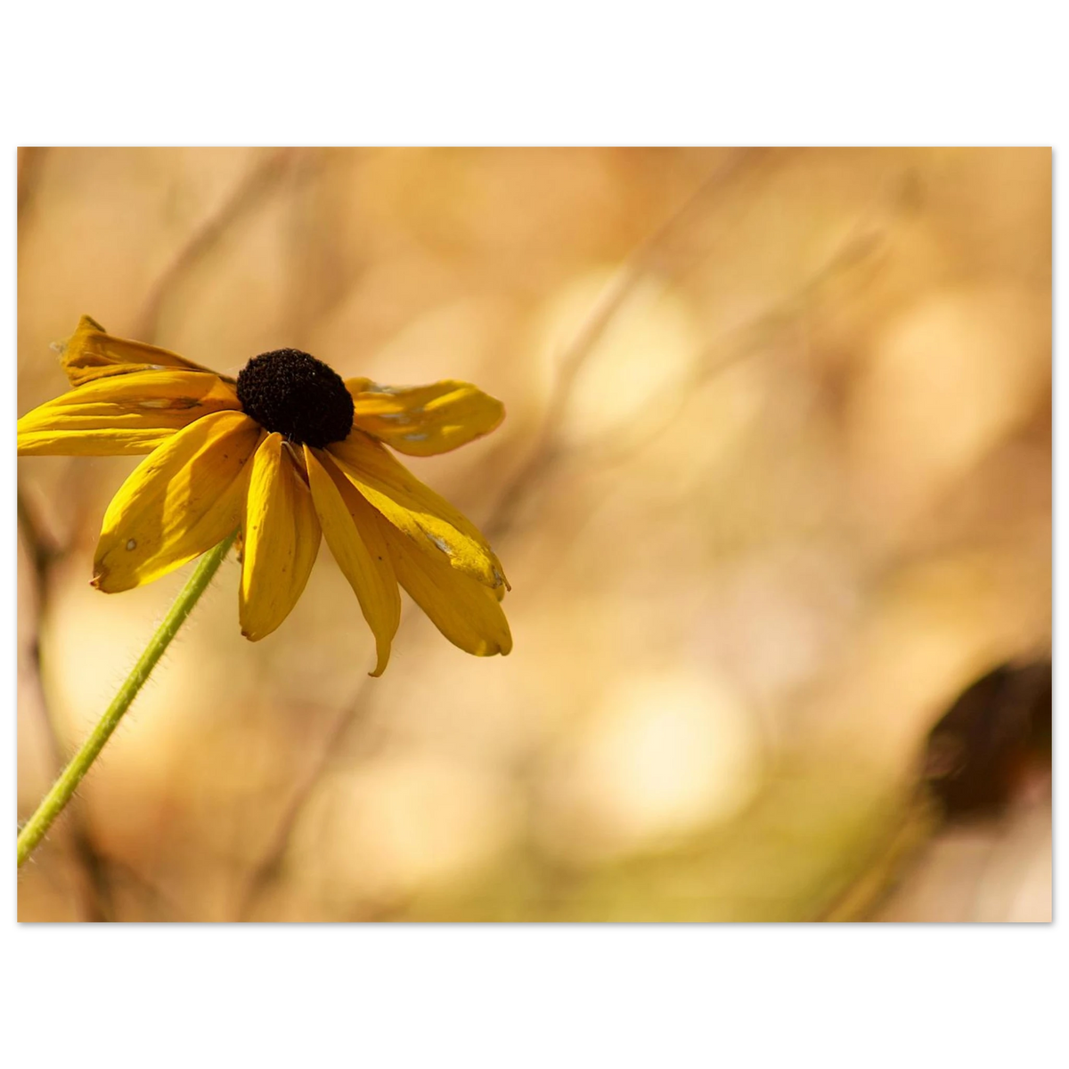 2205a878-c731-48ca-9b02-c8b6a4965068
