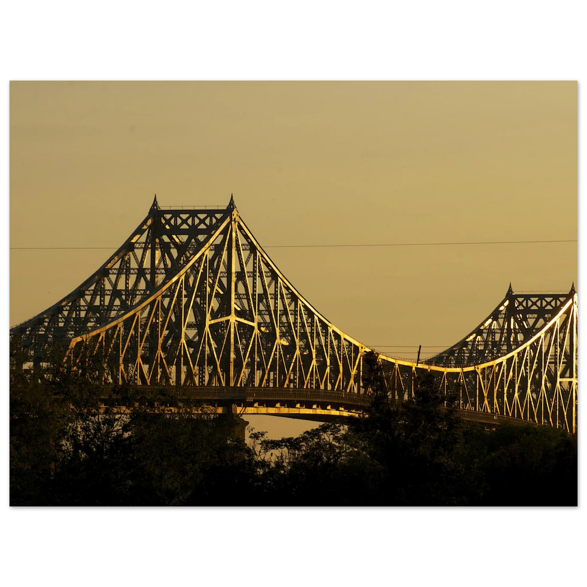 76a71972-9c5f-480c-93db-001d85bd179f