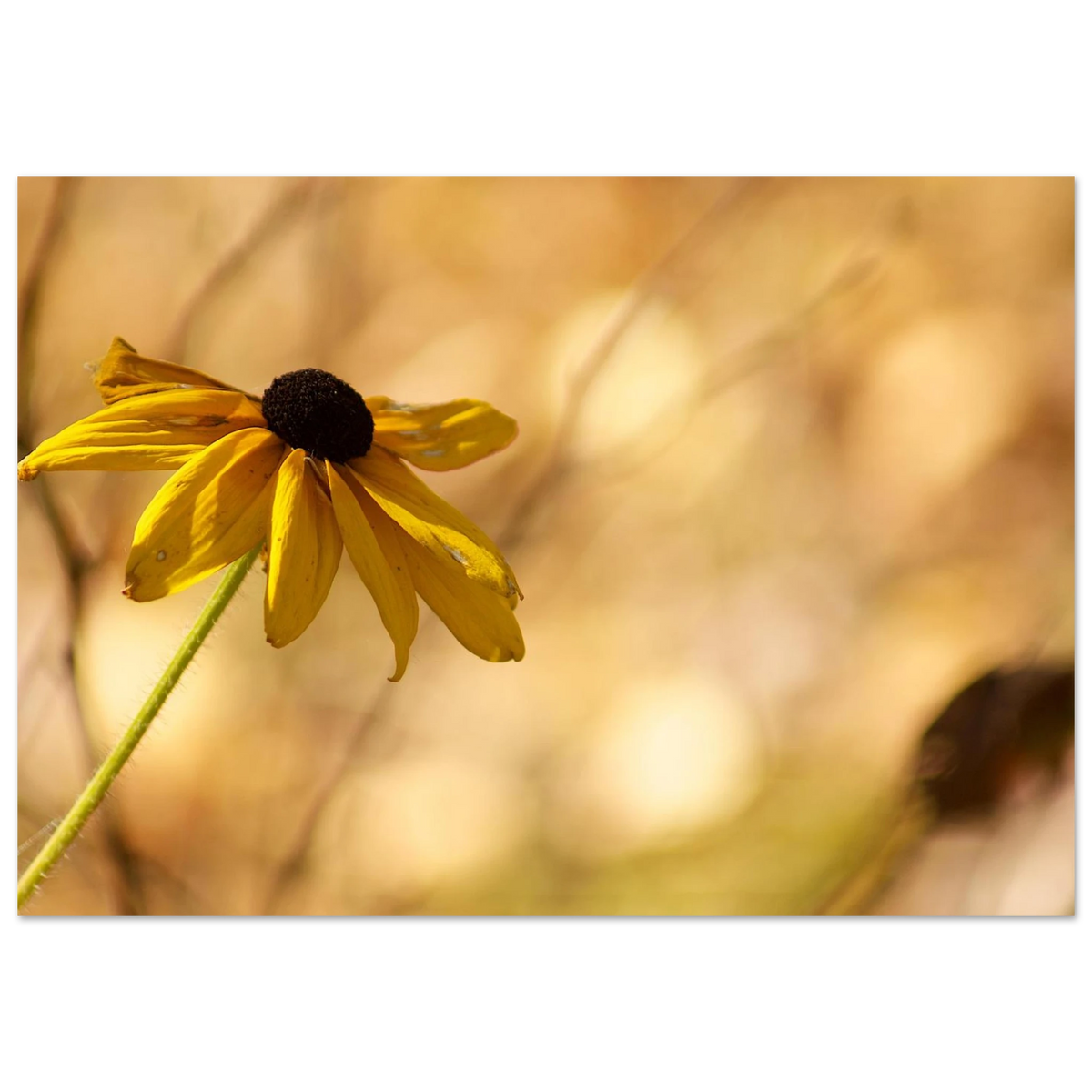 7b3d589d-cf75-45f3-a829-83b1e12604ce