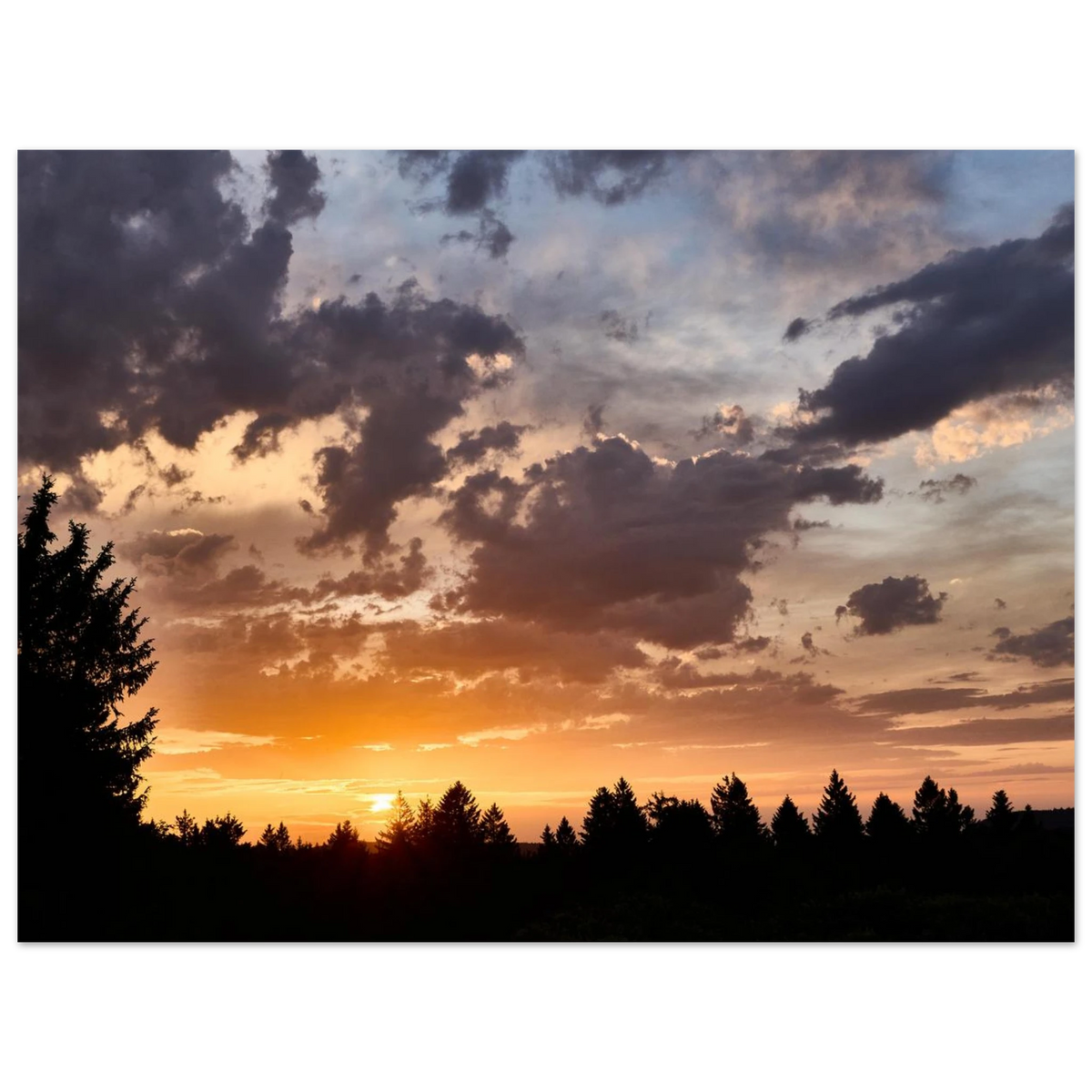 815a0f29-d1af-4218-9947-c32ea576719b