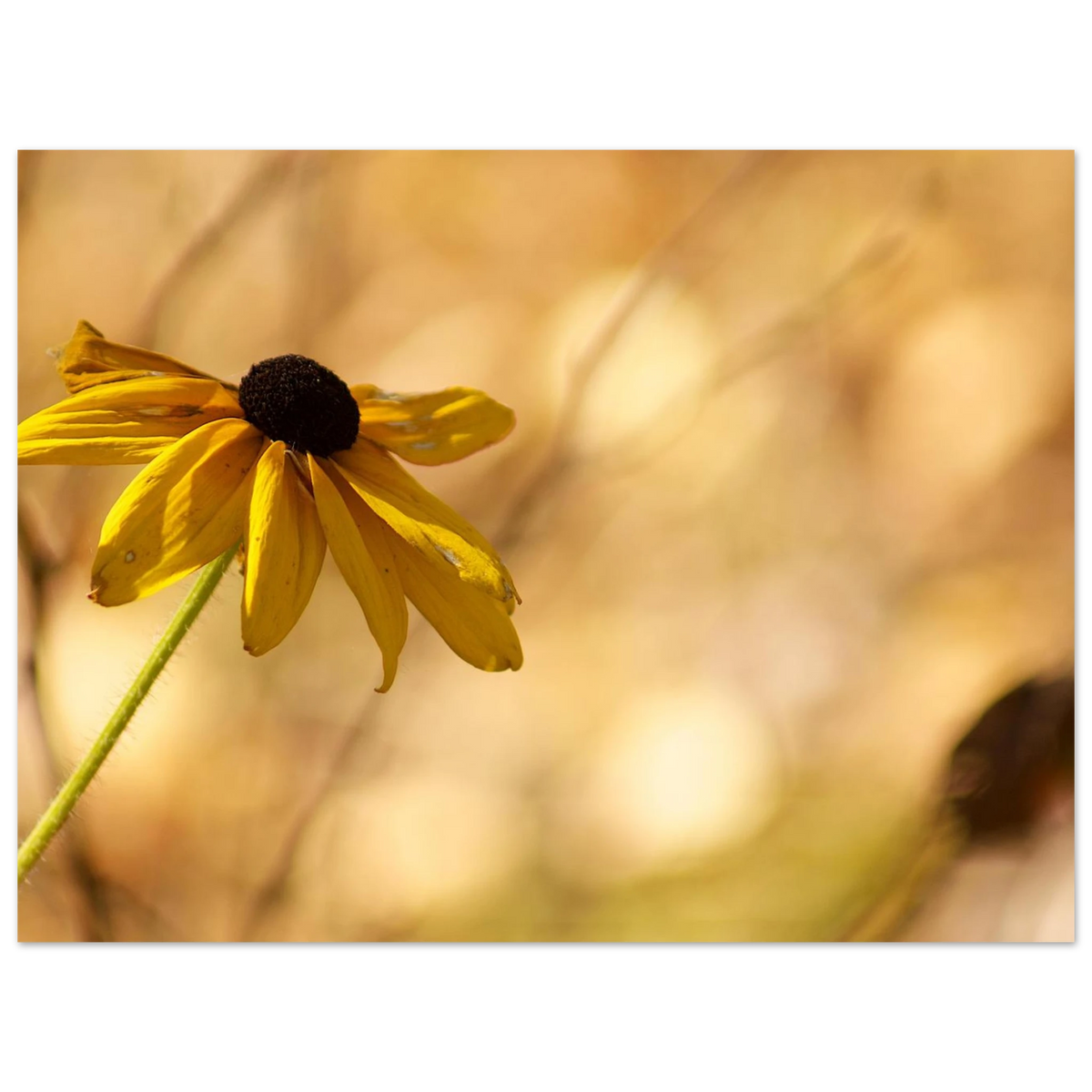 983493c9-2f15-49f7-bbeb-b699f424095a