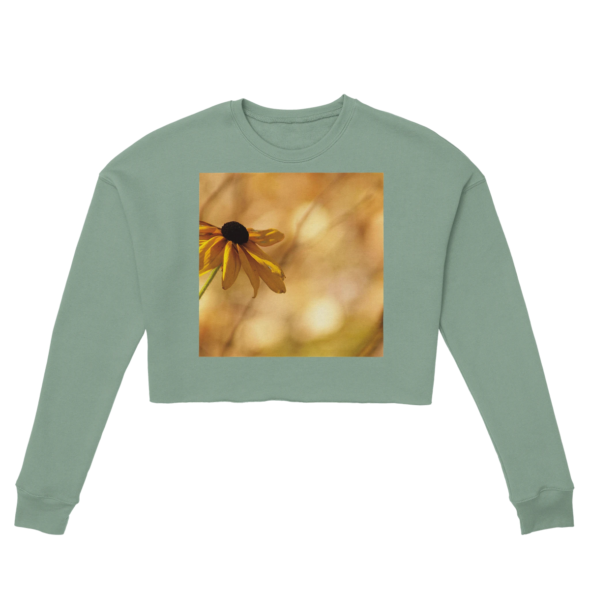 b77a9dce-4d2c-48b9-bee5-5d010e843c76