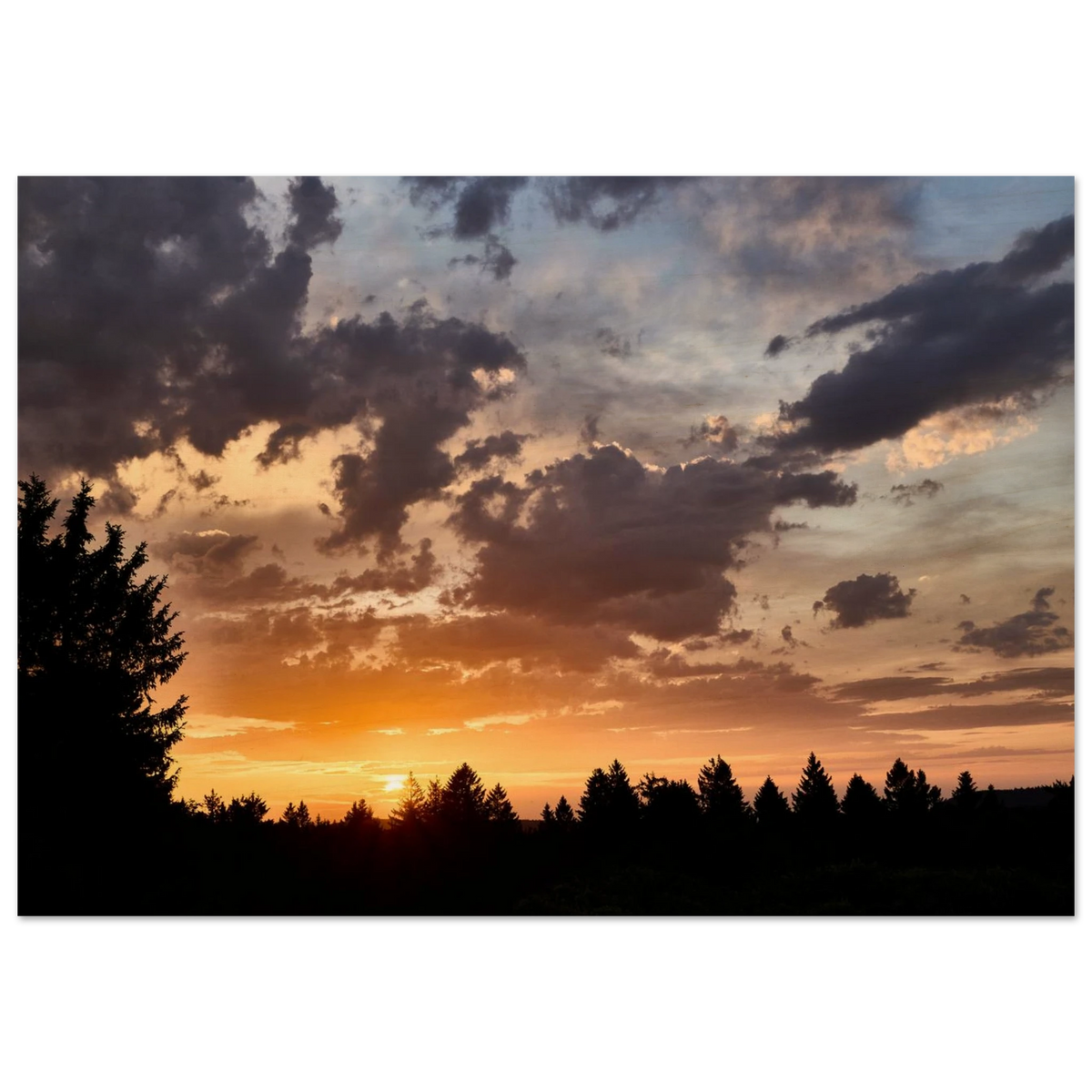 bf07a838-4b16-4883-96ad-06c1b29ce7f2