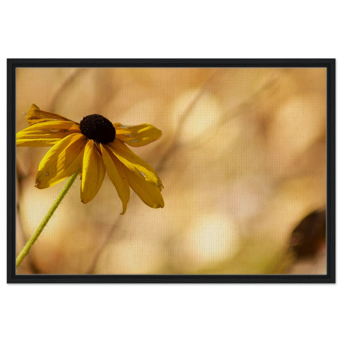 dcbc682a-3699-4d83-859c-4442c8870df4