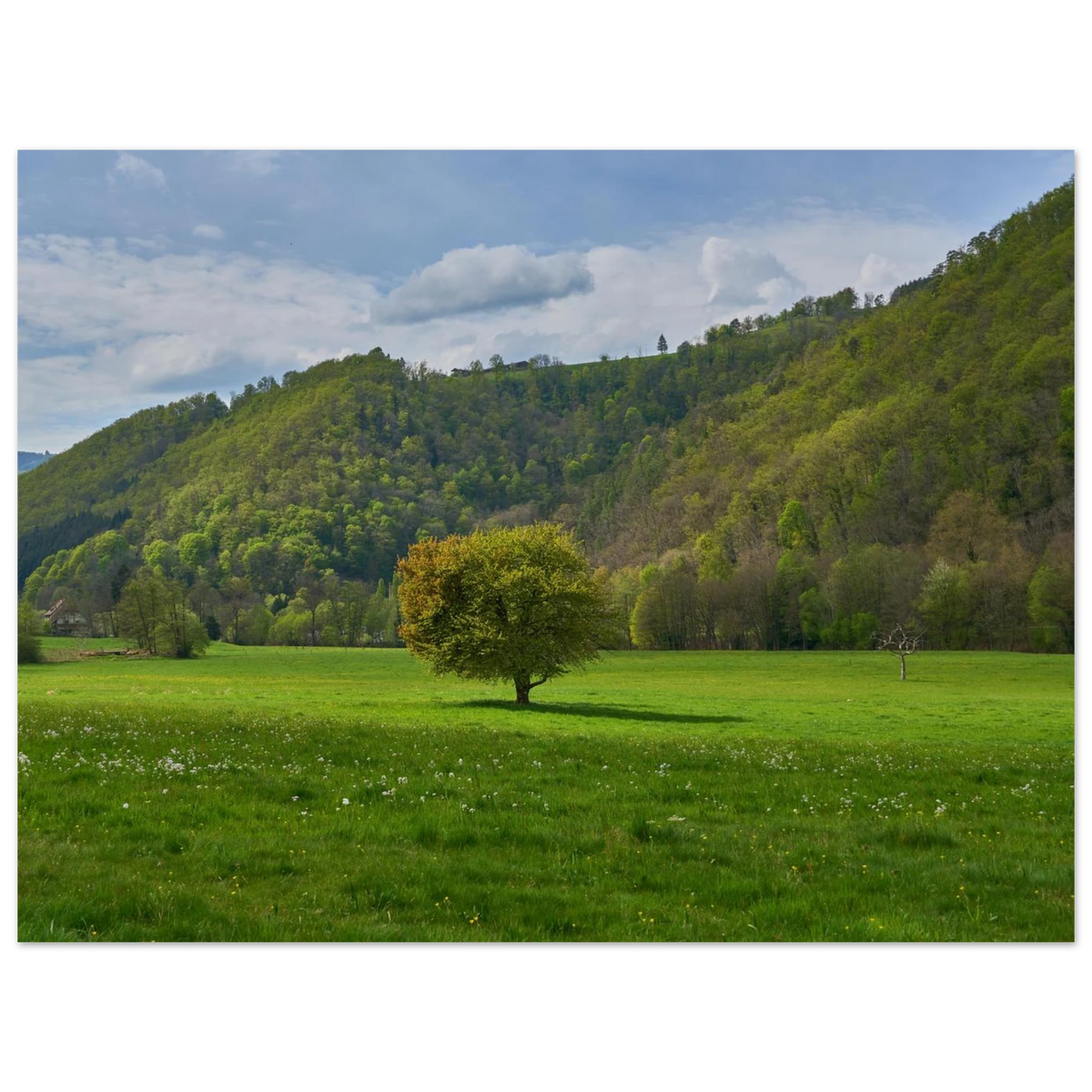 e03fc835-ac53-42b3-9d67-56df698a2616