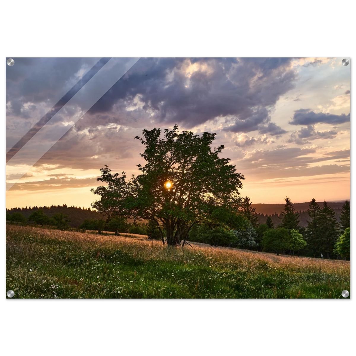 084924f9-ef4e-4d73-ab5d-4d7c5ee0c260