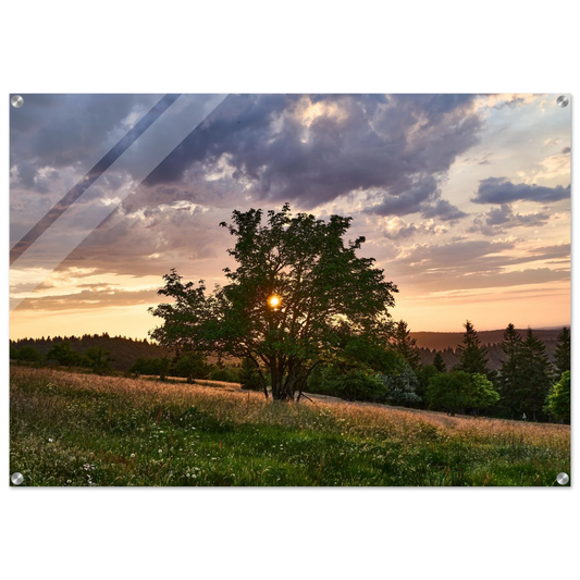 084924f9-ef4e-4d73-ab5d-4d7c5ee0c260