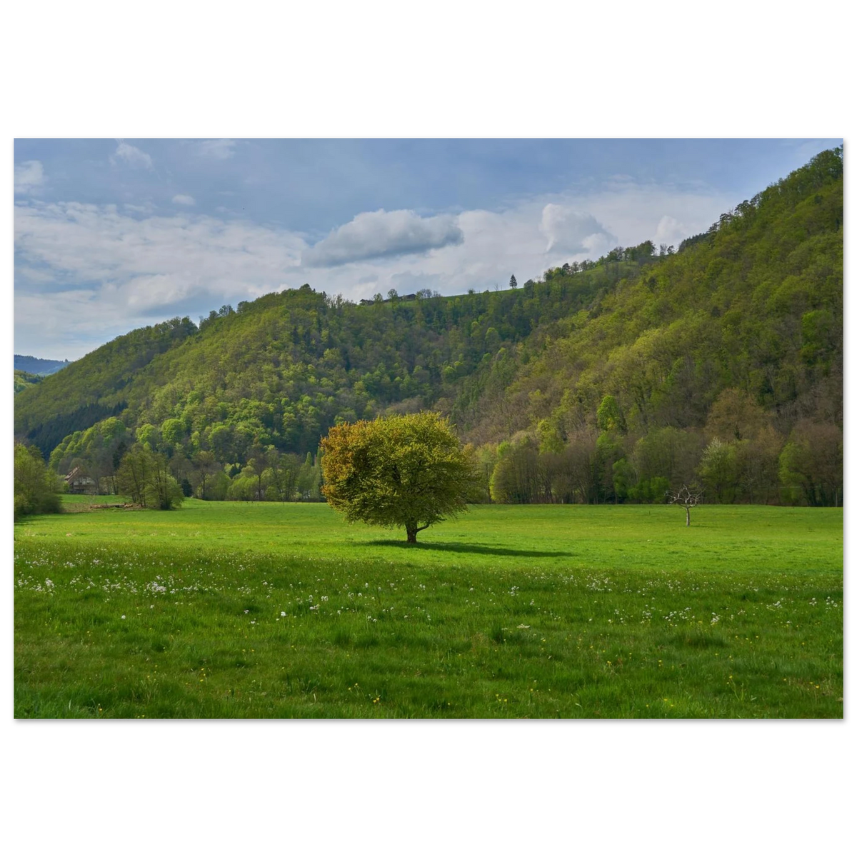 0f323bdf-adec-4bdc-81c1-524fd456128d