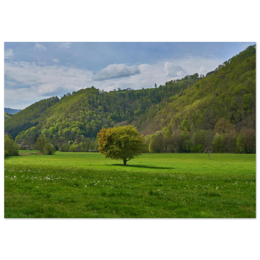 0f323bdf-adec-4bdc-81c1-524fd456128d