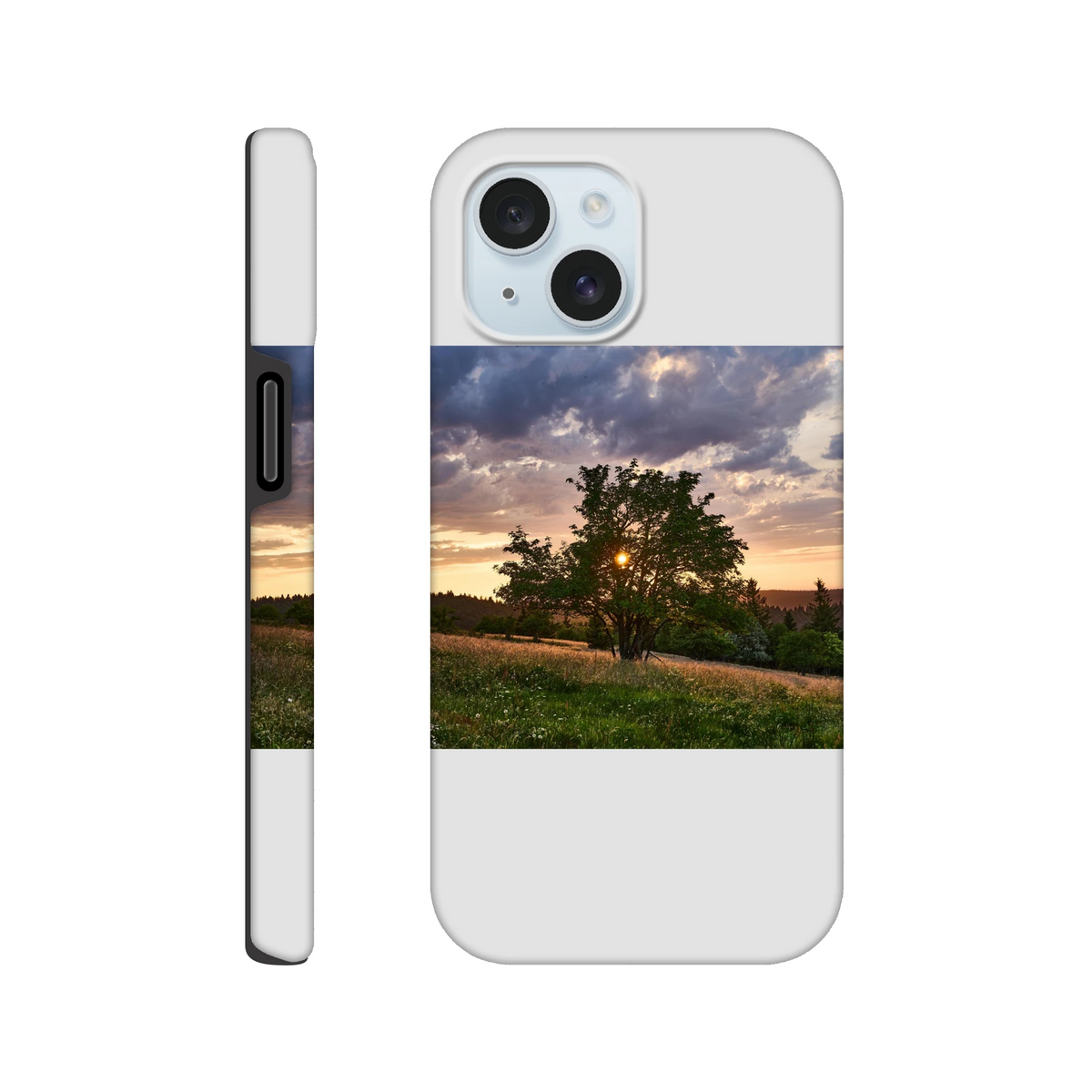 17f6b551-23e2-4307-aba0-b383c967e298
