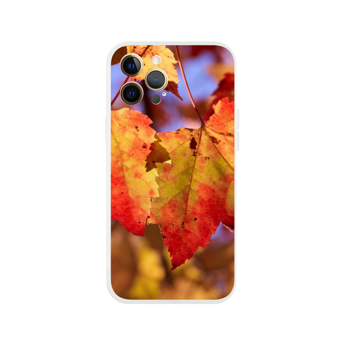 18ce58ed-ffc8-4274-85a7-2e424ca0c561