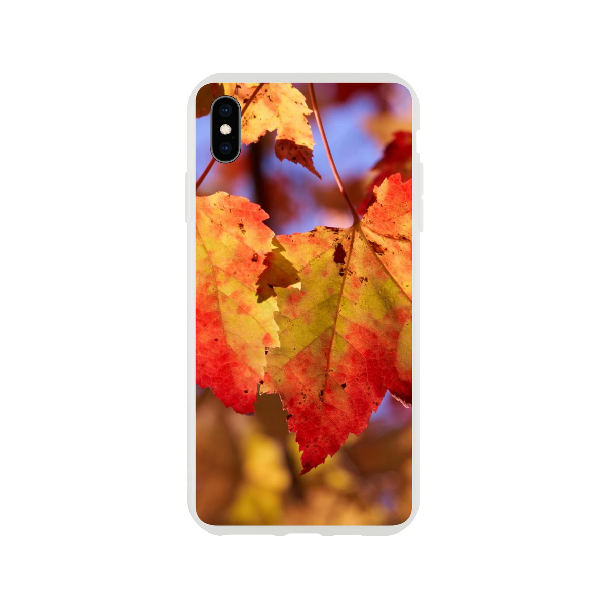 1df79c81-8a4b-4a8d-8b33-fcbb66e8a69c