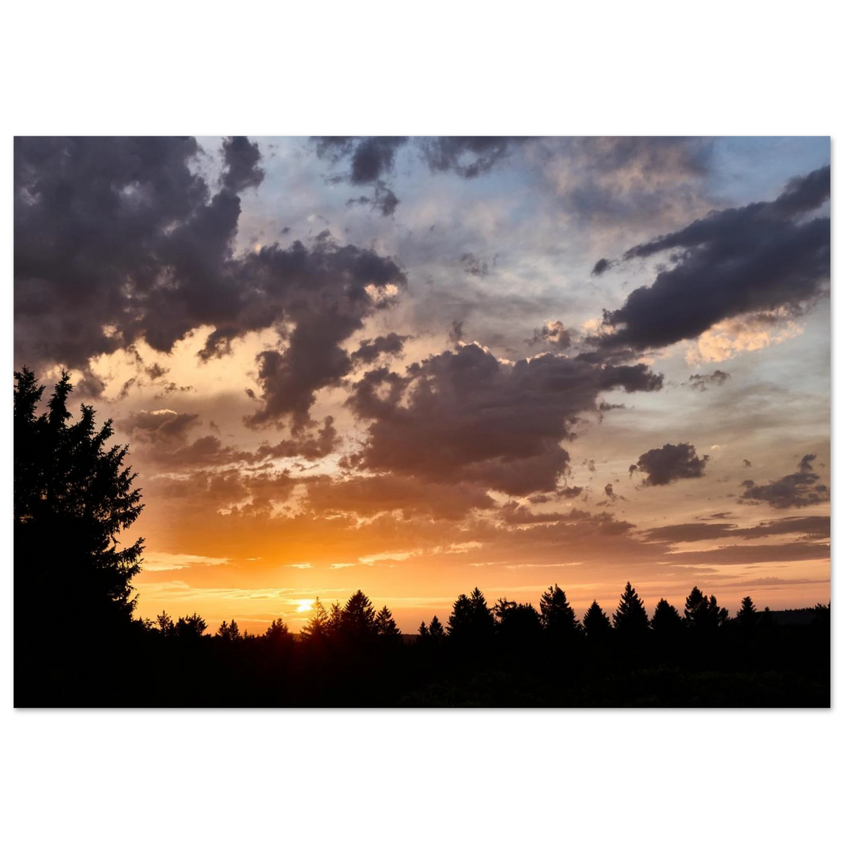 393d8940-9723-4b15-b315-84f5ffae4f41