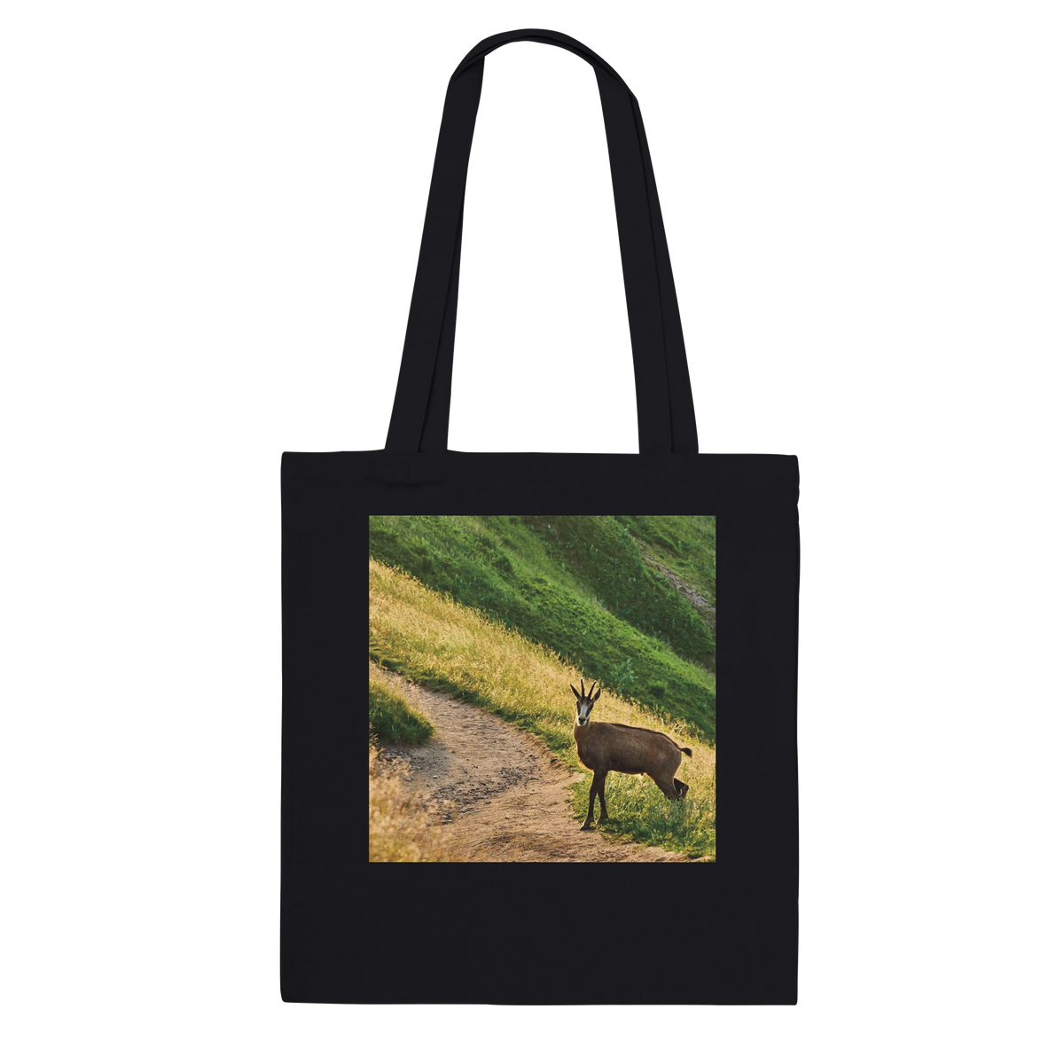 42a02c4f-587d-4f73-9021-0d0abd8e374b