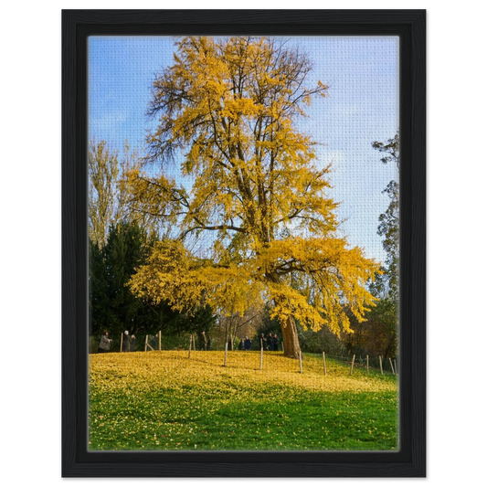 4f1bb074-b237-43a0-8820-c5108c1b17bc
