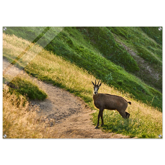 5c5d598d-7649-4724-9719-bf762c186b5a