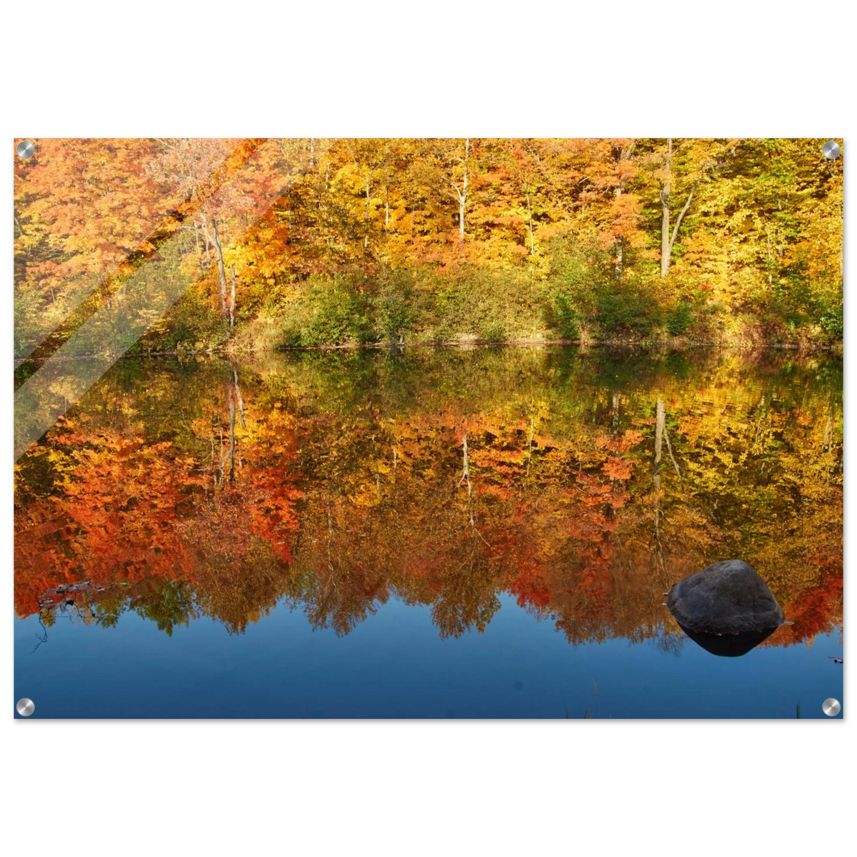 680ddbb4-b436-470a-9872-d2b44e198009