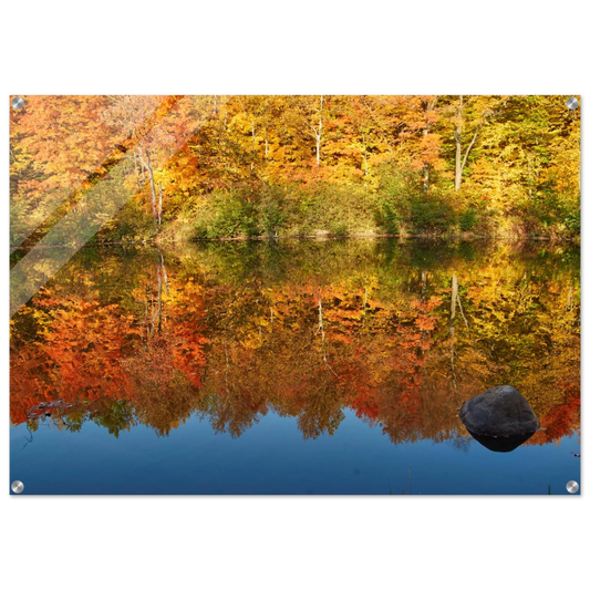 680ddbb4-b436-470a-9872-d2b44e198009