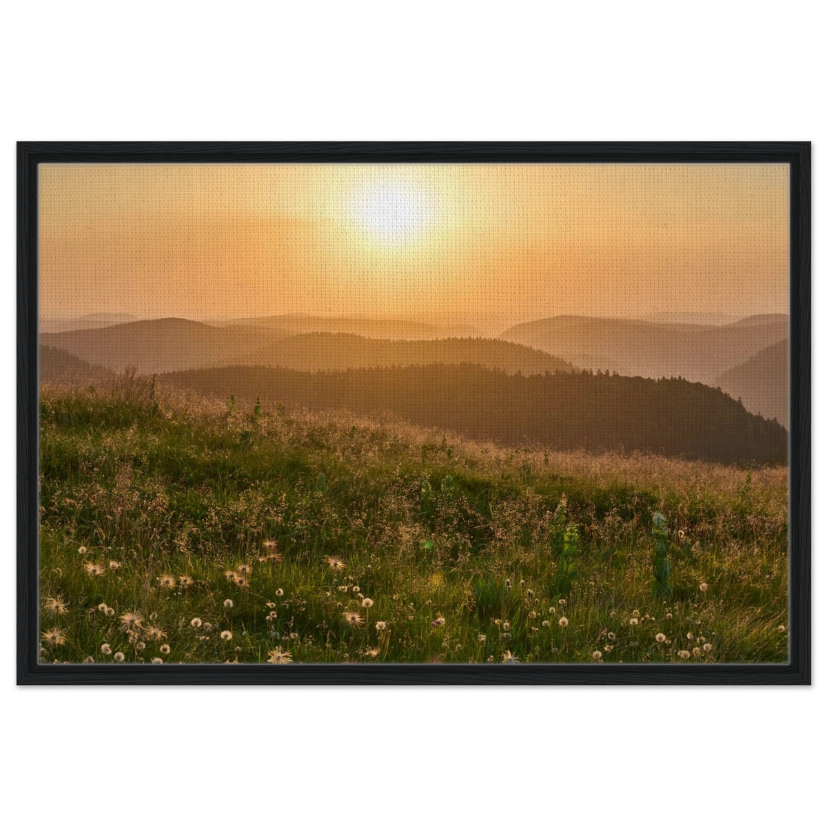 6ae364ef-57e8-4a6d-bdd2-602851245dfc