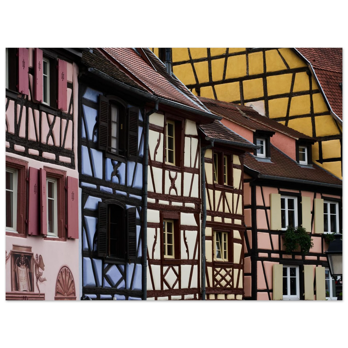 76e848df-d288-4b95-995d-3084dd9fb2e8