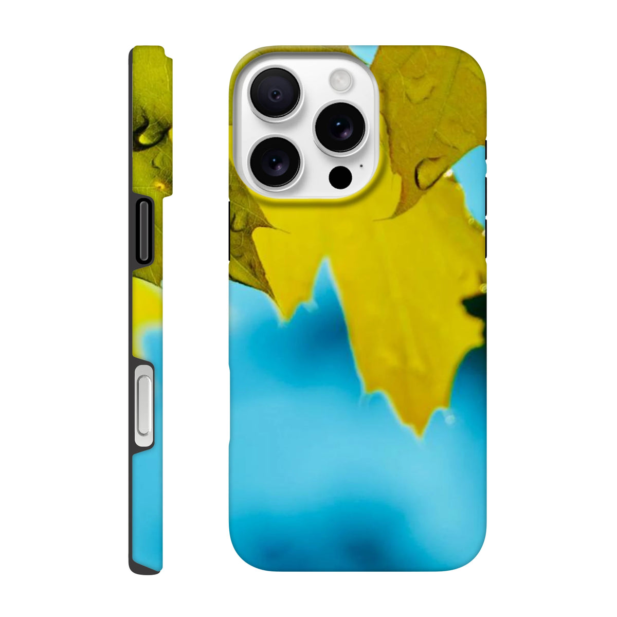77474dfb-3d02-482d-9361-5202311eb618