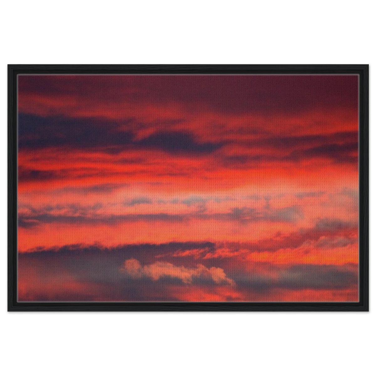775ca8f1-6522-4ba0-82e6-8c8c1dc92af4
