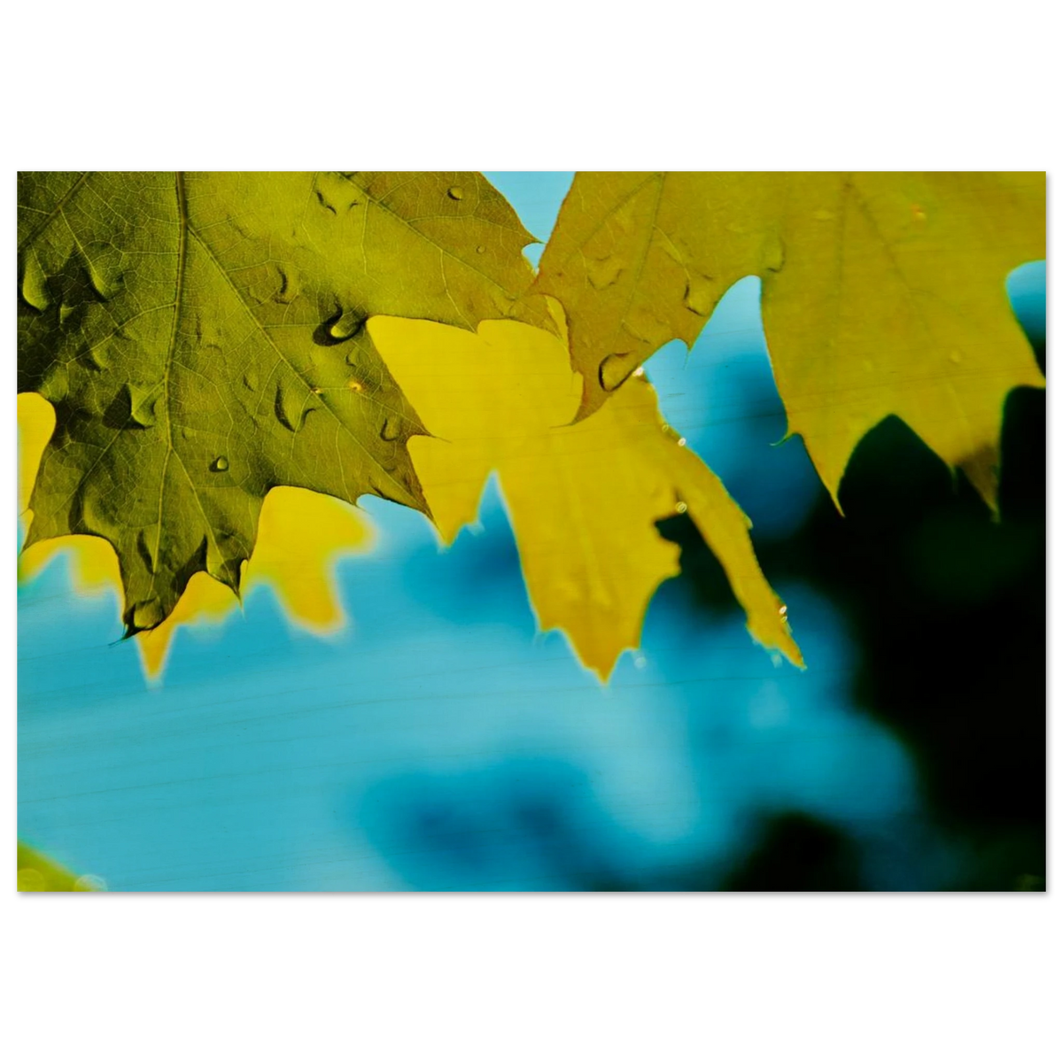 a3142811-5058-4cd6-bd00-cfb9675f47ec