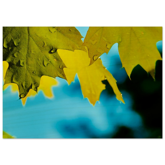 a3142811-5058-4cd6-bd00-cfb9675f47ec