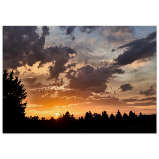 bf07a838-4b16-4883-96ad-06c1b29ce7f2