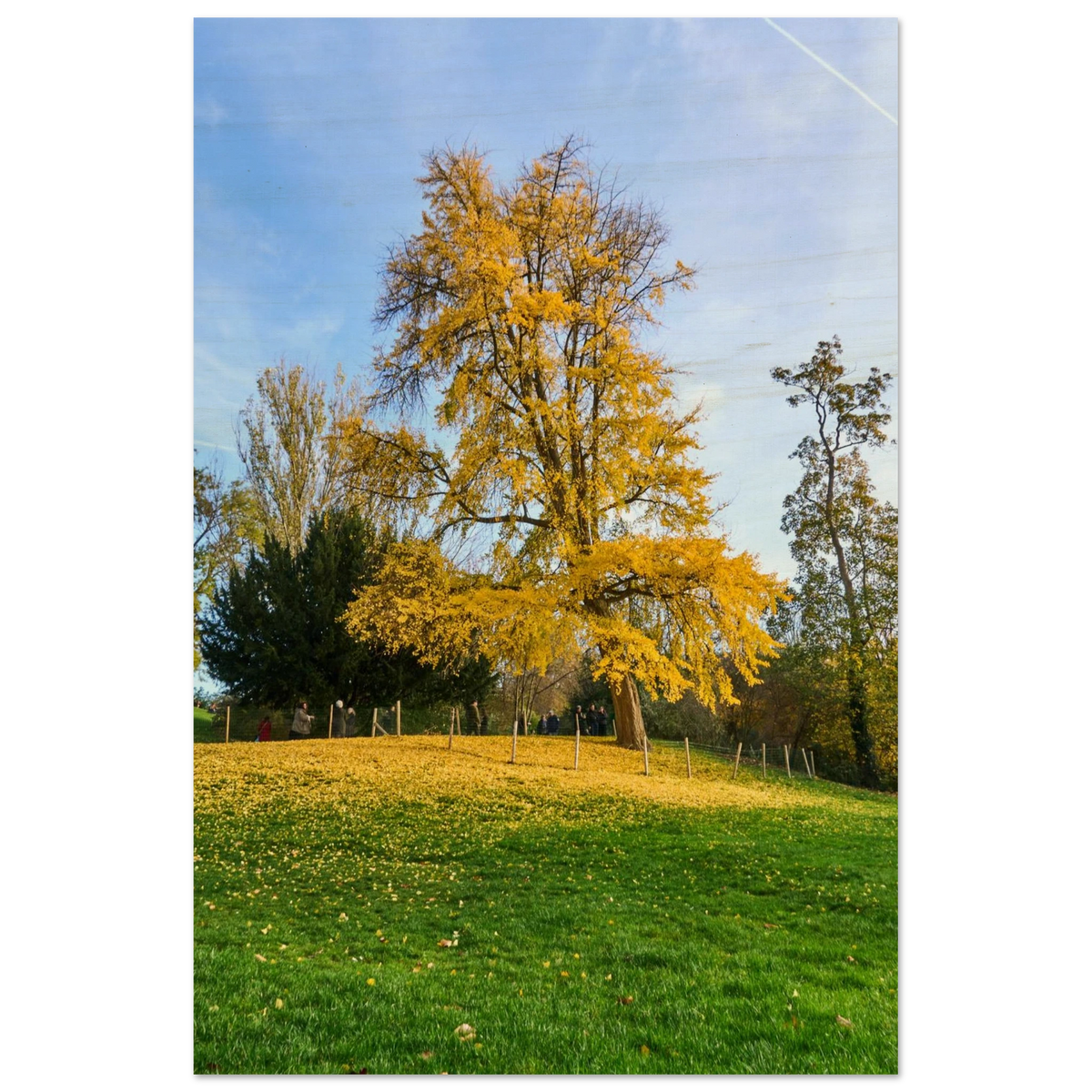 c2ee6756-8dd6-4d75-84b7-b7e88f7dc631