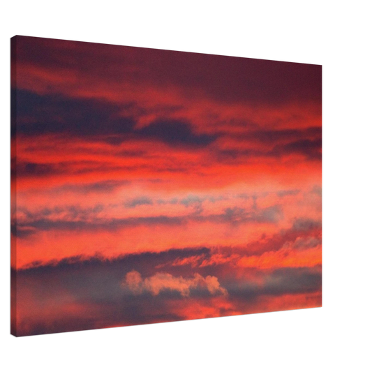 cbc27cf5-c355-4eb5-9634-6ecb79dcf9a9