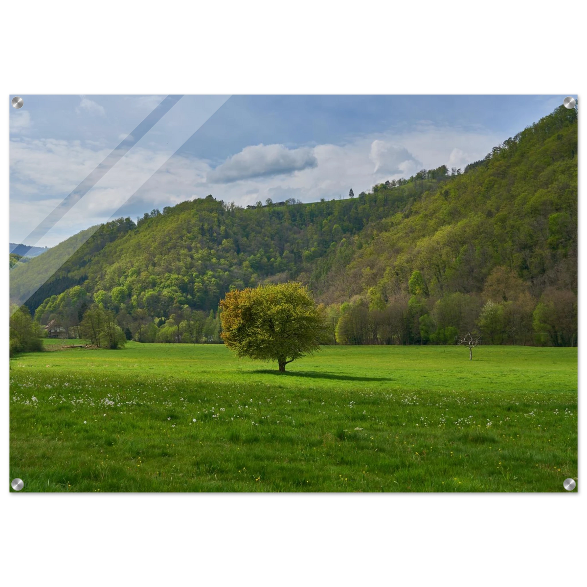 cde07325-8ab4-4021-935f-9ed3f701144e