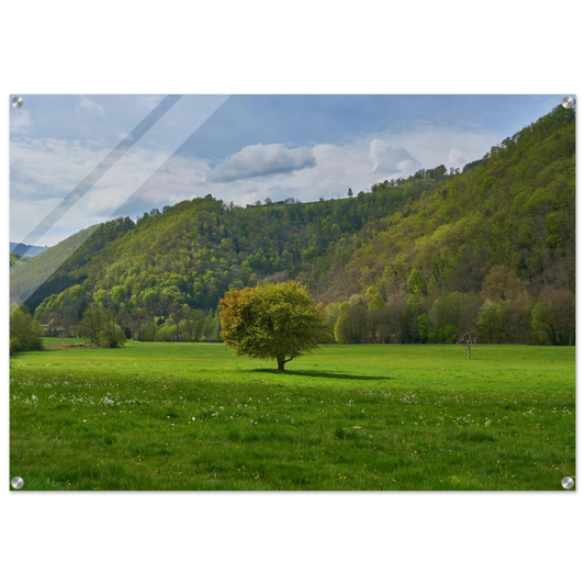 cde07325-8ab4-4021-935f-9ed3f701144e
