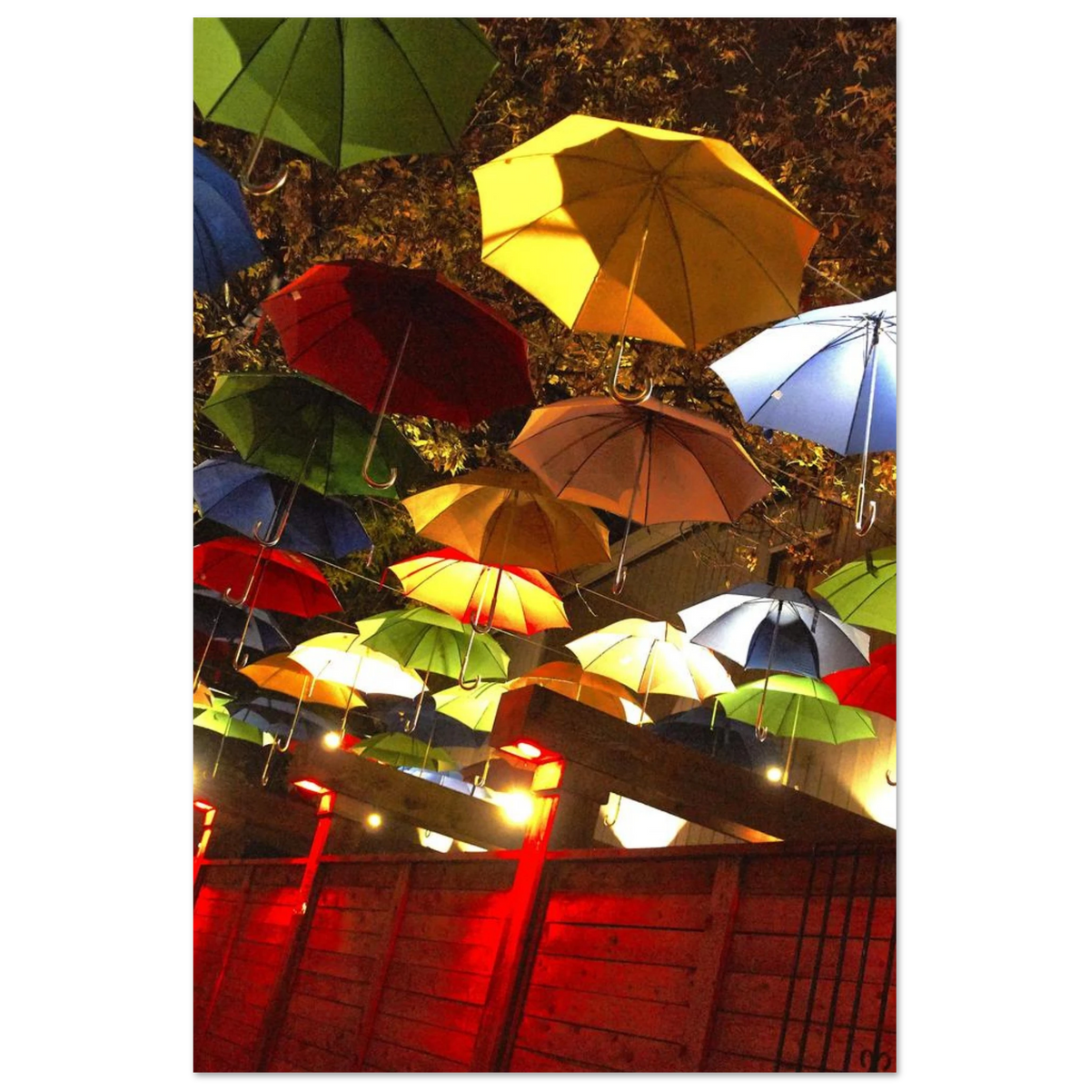 d2980c9a-7702-47c1-875f-3a24c355ab21