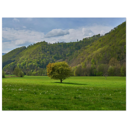 e03fc835-ac53-42b3-9d67-56df698a2616