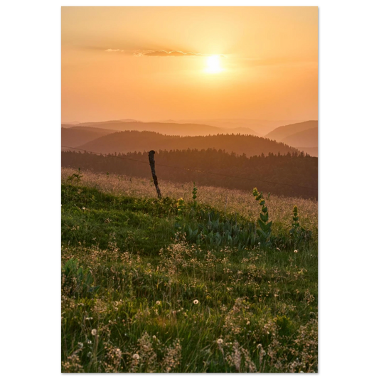 e2d54392-e879-4897-9d17-7284cebc785a