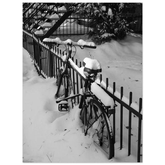 e58c90af-3bc2-406b-afe9-941bf06b2c74