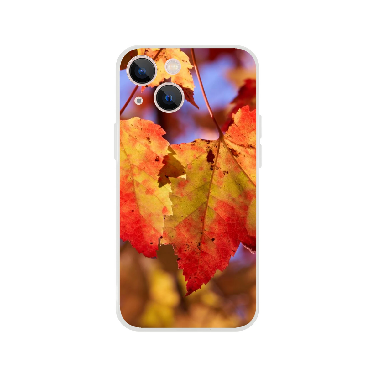 ed57ab69-7025-467b-b4e9-7265f3a265e6