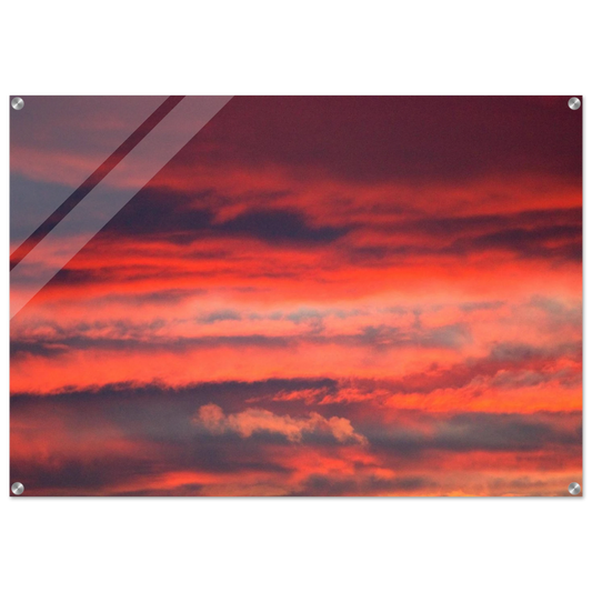 f0e2928f-b6b0-4154-9894-1e902e4c0c33