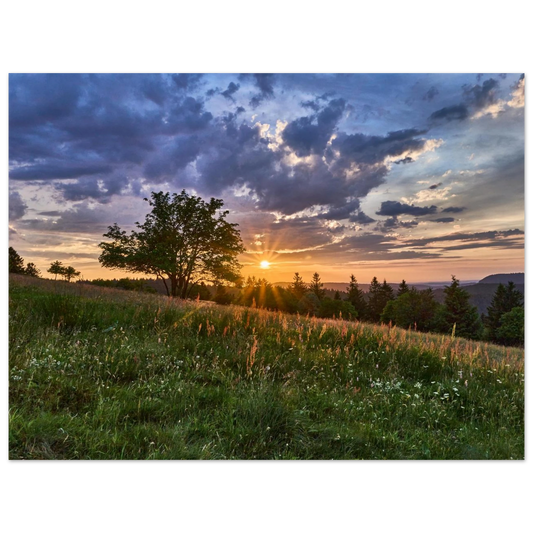 f3642595-06bc-4ec5-9363-25f587122aa5