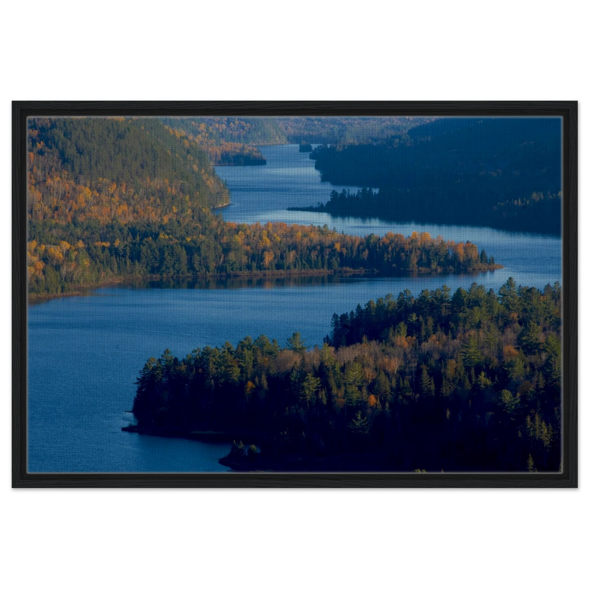 f9976fff-6365-4b79-85fe-4999cb3eb76a